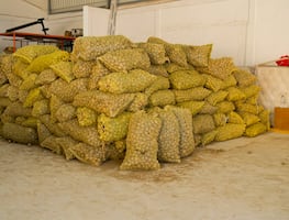 Productor de Metztitlán dona 15 toneladas de papa para familias damnificadas por lluvias