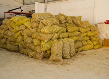 Productor de Metztitlán dona 15 toneladas de papa para familias damnificadas por lluvias