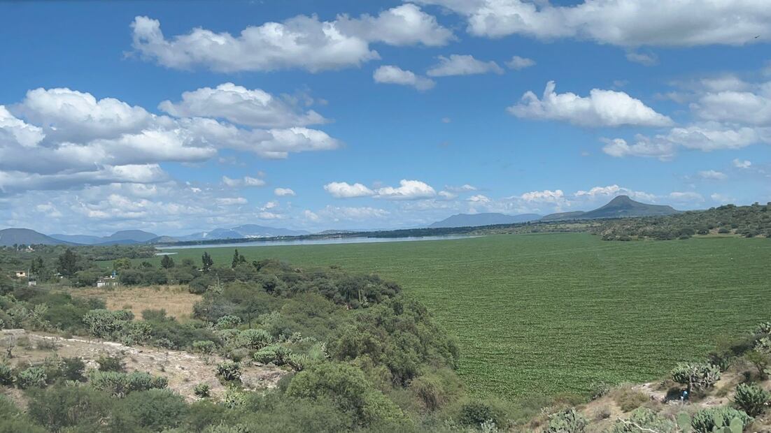 Foto: Ricardo Calleja