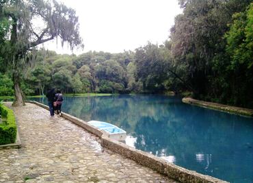 Descubre el encanto natural del Bosque de las Truchas en Huasca de Ocampo
