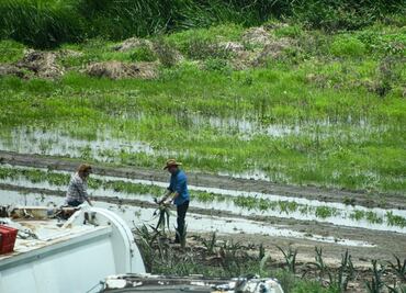Afectaciones por lluvia afecta a 80 por ciento de los cultivos en Tulancingo