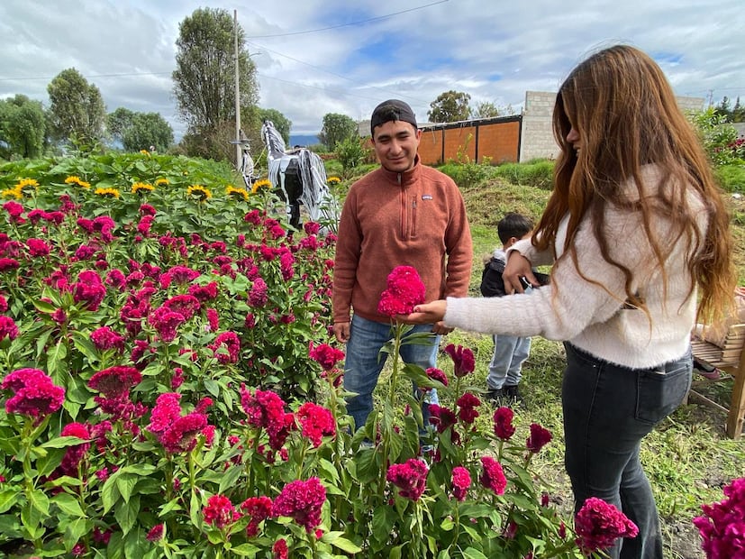 Conoce la historia de estos productores y la tradición floricultora que da vida al Festival de las Flores | Foto: Luis Soriano