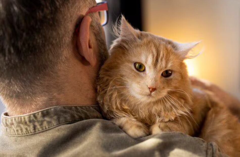 Foto: Istock