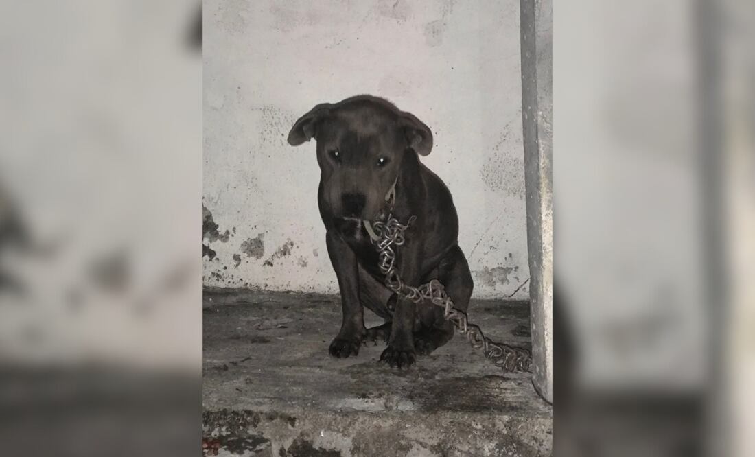 ¡Ayuda para localizarlo! Foto: cortesía