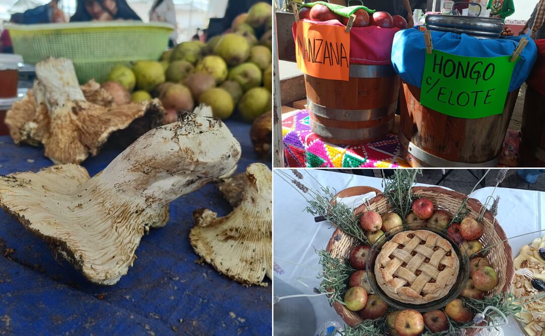 Feria de la Manzana y El Hongo 2025 I Foto: Grisel Lira