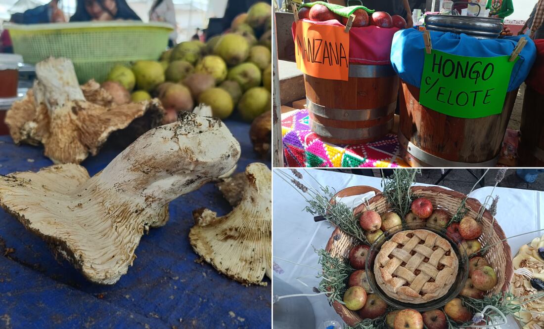 Feria de la Manzana y El Hongo 2025 I Foto: Grisel Lira