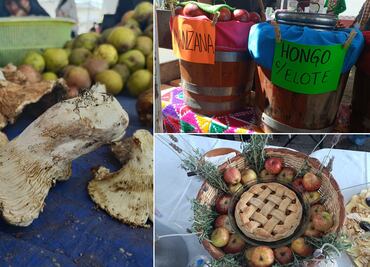 Festival de la Manzana y el hongo; así se vivió esta fiesta en el pueblo mágico de Acaxochitlán