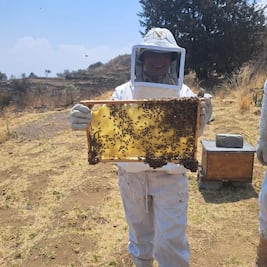 El lugar donde podrás vivir la experiencia de ser apicultor