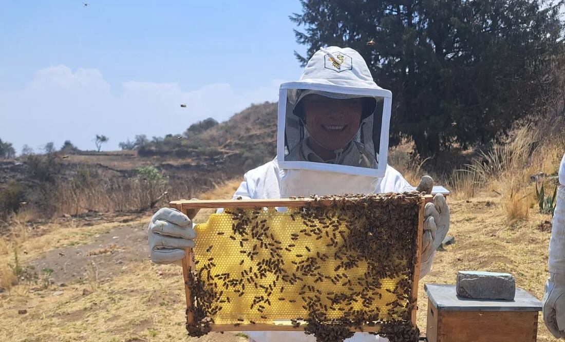 Facebook: Salvando Abejas CDMX