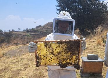 El lugar donde podrás vivir la experiencia de ser apicultor