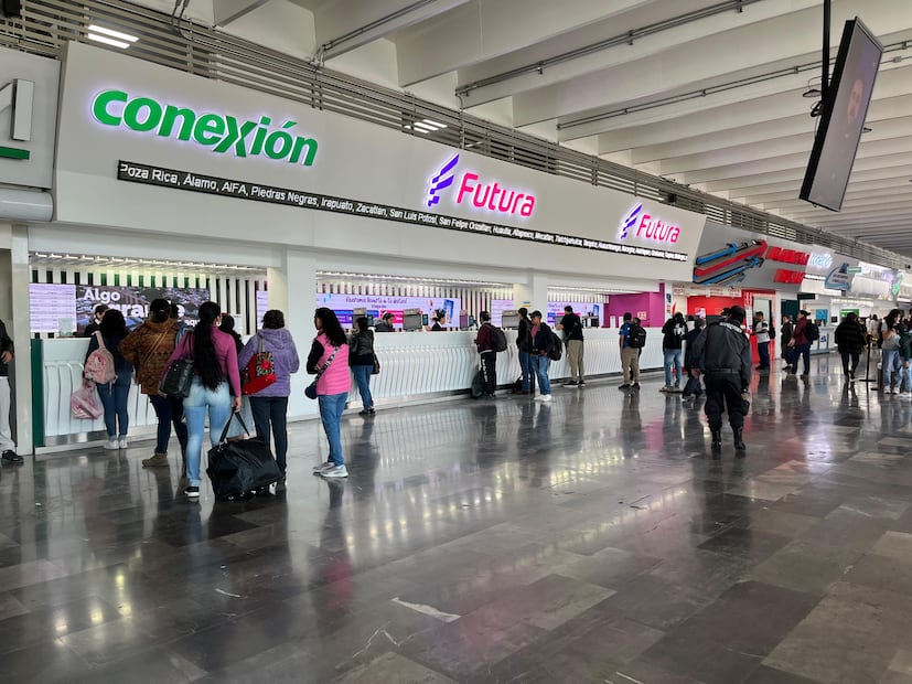 Foto: Ricardo Calleja