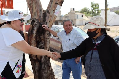 Incrementar presupuesto destinado al arte y la cultura propone Tania Meza