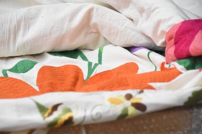 El Congreso de Hidalgo exhibe el Tenango más grande del mundo y promueve su conservación