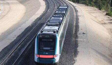 Ambientalistas condenan manejo de fauna en el Tren Maya; “La biodiversidad de México no debe ser sacrificada en nombre del progreso” 