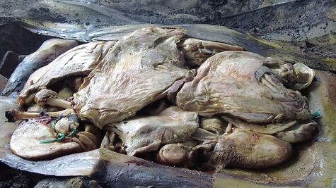 Actopan alista la Feria de la Barbacoa 2025; tradición, sabor y cultura en el corazón del Mezquital