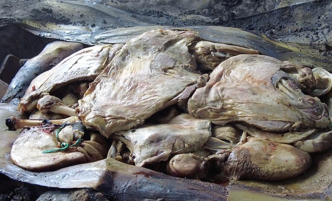 ¡Actopan te espera con sabor, fiesta y tradición! Foto: Marco Carrillo