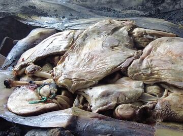 Actopan alista la Feria de la Barbacoa 2025; tradición, sabor y cultura en el corazón del Mezquital