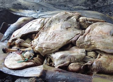 Actopan alista la Feria de la Barbacoa 2025; tradición, sabor y cultura en el corazón del Mezquital