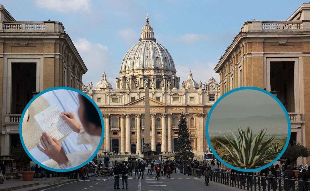 Fotos: Wikimedia Commons | Pexels