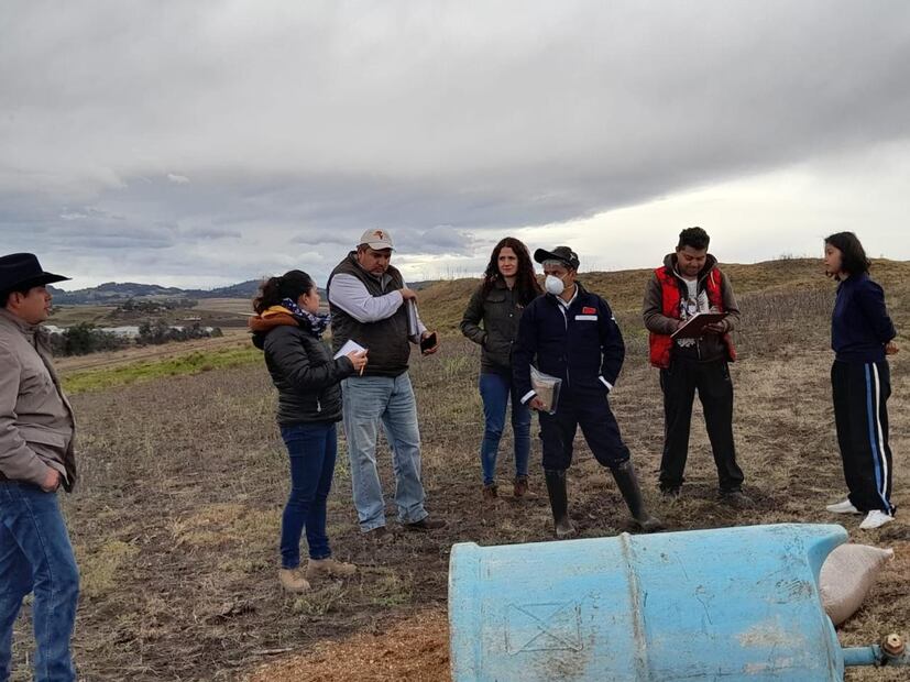 Por muerte de ganado, Secretaría de Agricultura federal realiza investigación epidemiológica | Foto: Especial