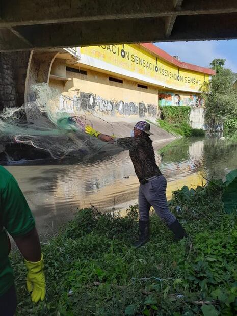 Ambientalistas y comerciantes rescatan tortugas de aguas negras | Foto: Especial