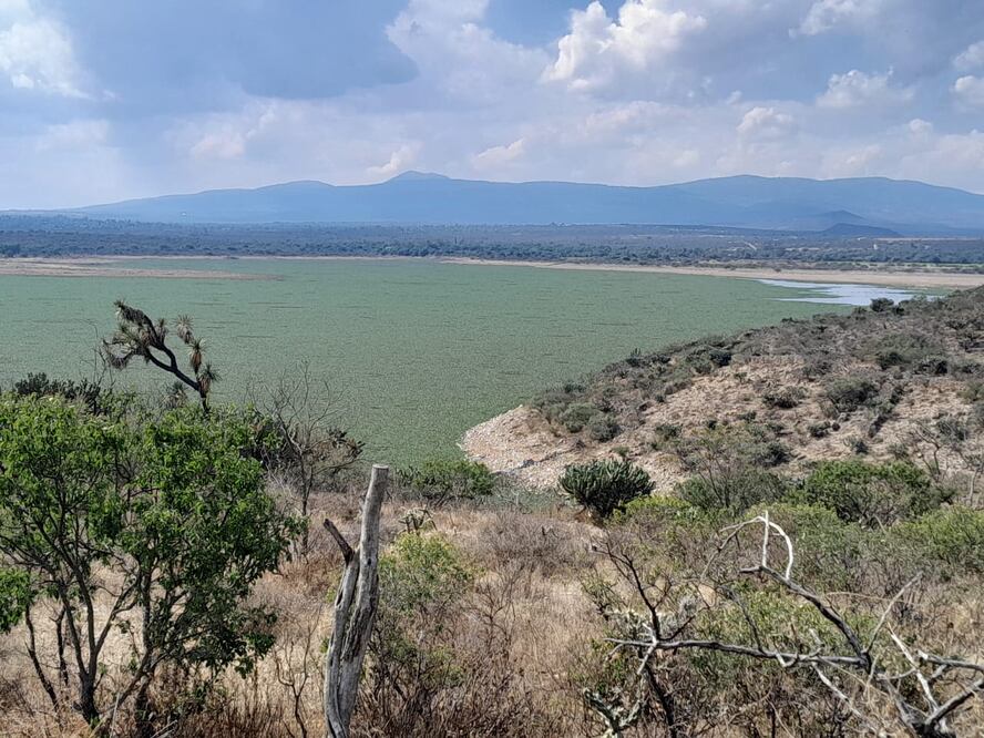 Foto: Erika Gutierrez