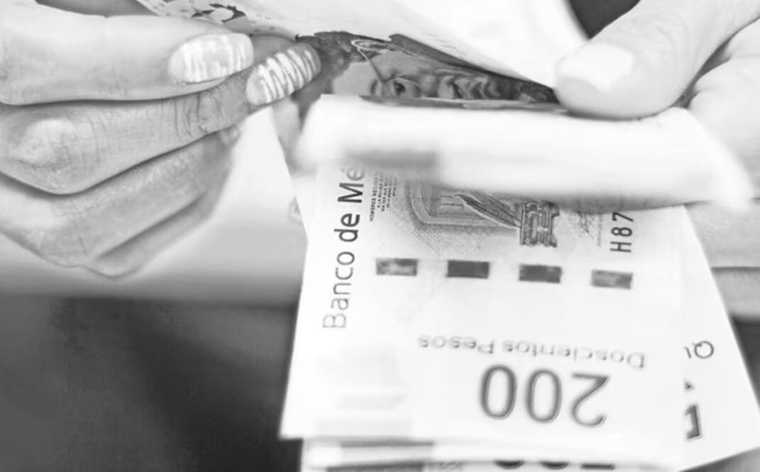 La empresa aseguradora de créditos explicó que con la victoria de Claudia Sheinbaum habrá “continuidad de la política”. Foto: El Universal