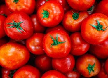Advierten posible impacto en productores de jitomate en Hidalgo por aranceles de EE. UU.