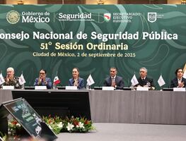 Estrategias de seguridad por estados acuerdan Consejo Nacional y entidades