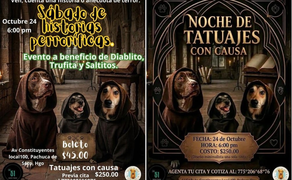 ¡Una noche de terror para ayudar a tres perritos en Pachuca! Facebook: La Jauria de Balú