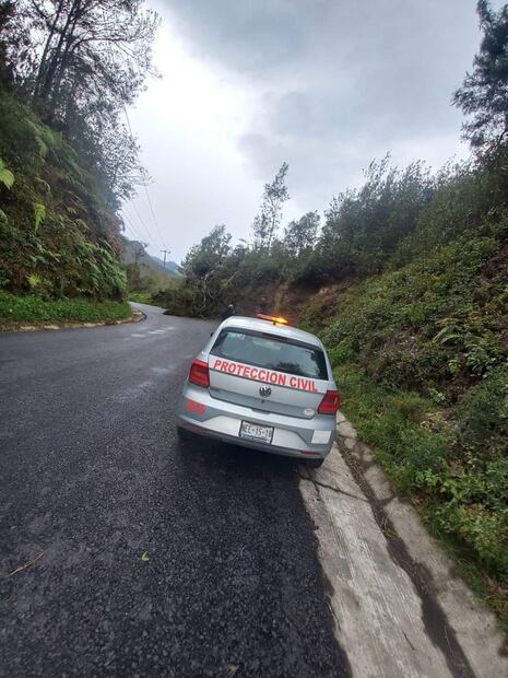 Después de la tormenta, Tenango de Doria enfrenta obstáculos viales por árboles caídos | Foto: Especial