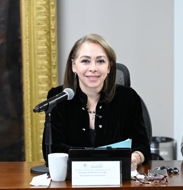 Congreso de Hidalgo propone tipificar la pederastía con penas de hasta 20 años de prisión | Twitter: LXVI Legislatura de Hidalgo