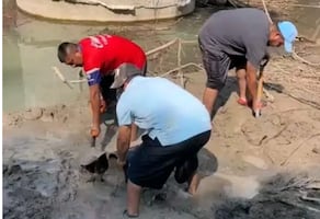 Alcaldesa de Jacala anuncia que se restablecieron los trabajos en manantial El Ushi