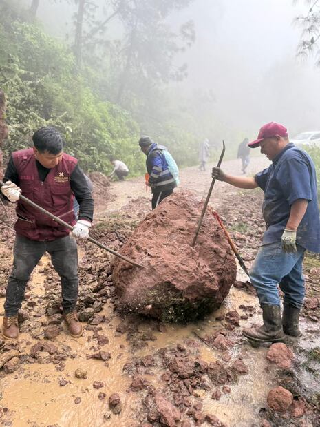 Un grupo de 300 personas se concentra principalmente en la Otomí-Tepehua, Huasteca, Sierra Baja y Sierra Gorda