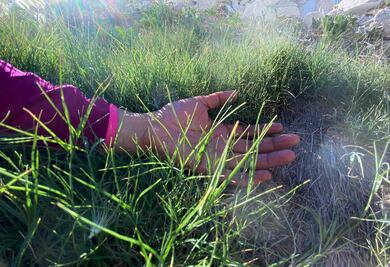 Hidalgo, segundo lugar nacional en feminicidios; violencia contra mujeres sigue al alza