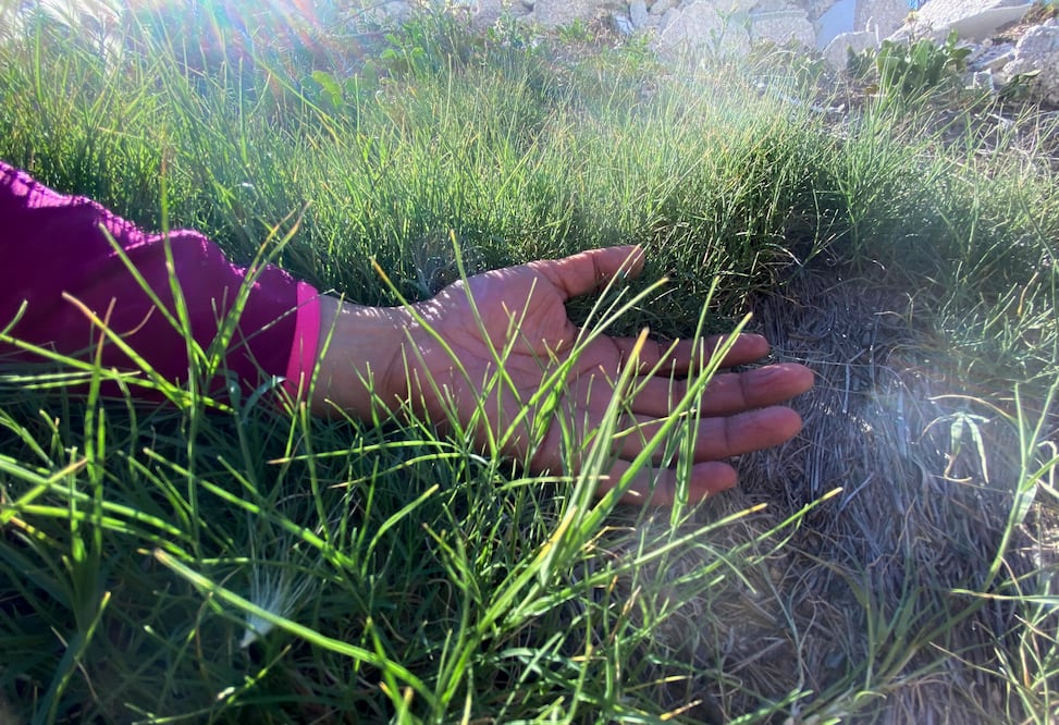 De enero a marzo suman 5 homicidios dolosos contra mujeres y 5 culposos | Foto: Luis Soriano