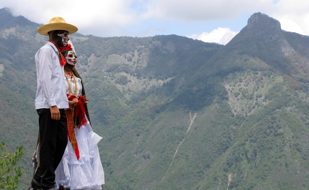 Fotos: Pexels | Wikimedia Commos