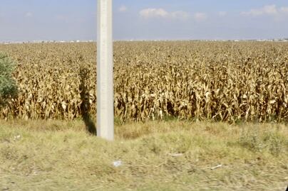 No llega a campesinos de módulo de Tula seguro catastrófico por sequía