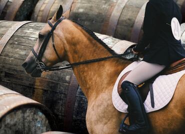 Tepeapulco será sede de la emocionante Carrera de Barriles del Circuito del Altiplano