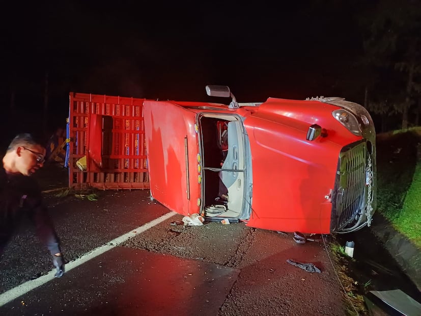 Vuelca tráiler cargado de pollo en la México–Tuxpan y afecta la circulación | Foto: especial
