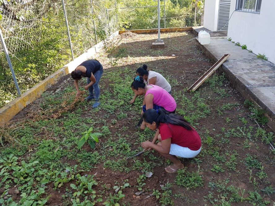 Foto: Gobierno de Hidalgo