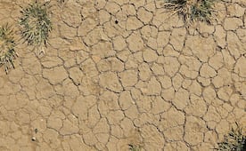 Ocho municipios de Hidalgo registran condiciones anormalmente secas