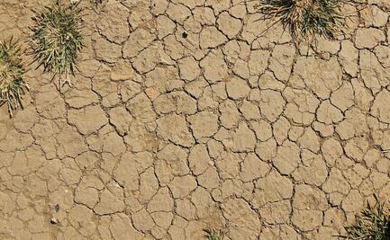 Ocho municipios de Hidalgo registran condiciones anormalmente secas