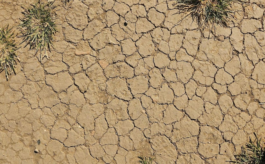 Autoridades advierten riesgos para cultivos, pastizales e incremento de incendios | Foto: Pexels