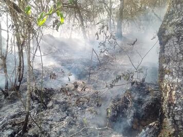 Quemas agrícolas alertan a pobladores en Nicolás Flores