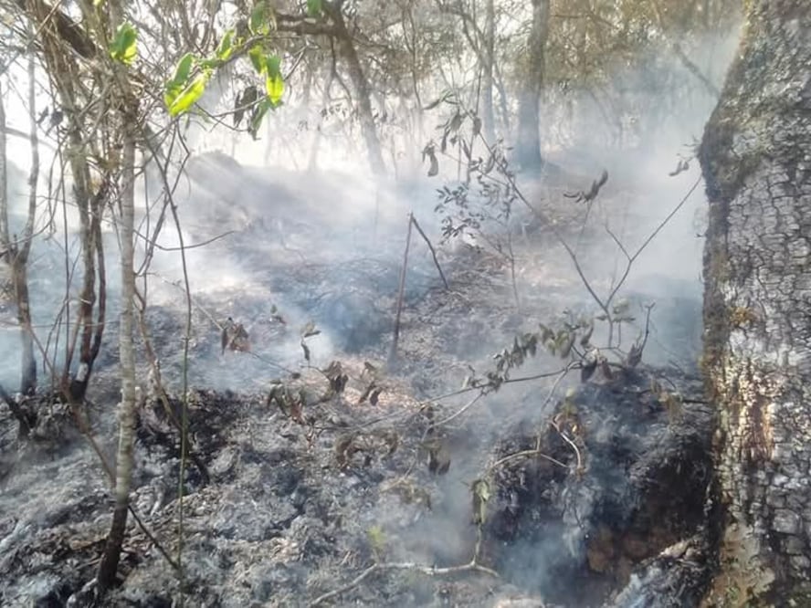 El municipio de Nicolás Flores, en los últimos años, ha registrado incendios forestales de grandes magnitudes que han afectado miles de hectáreas