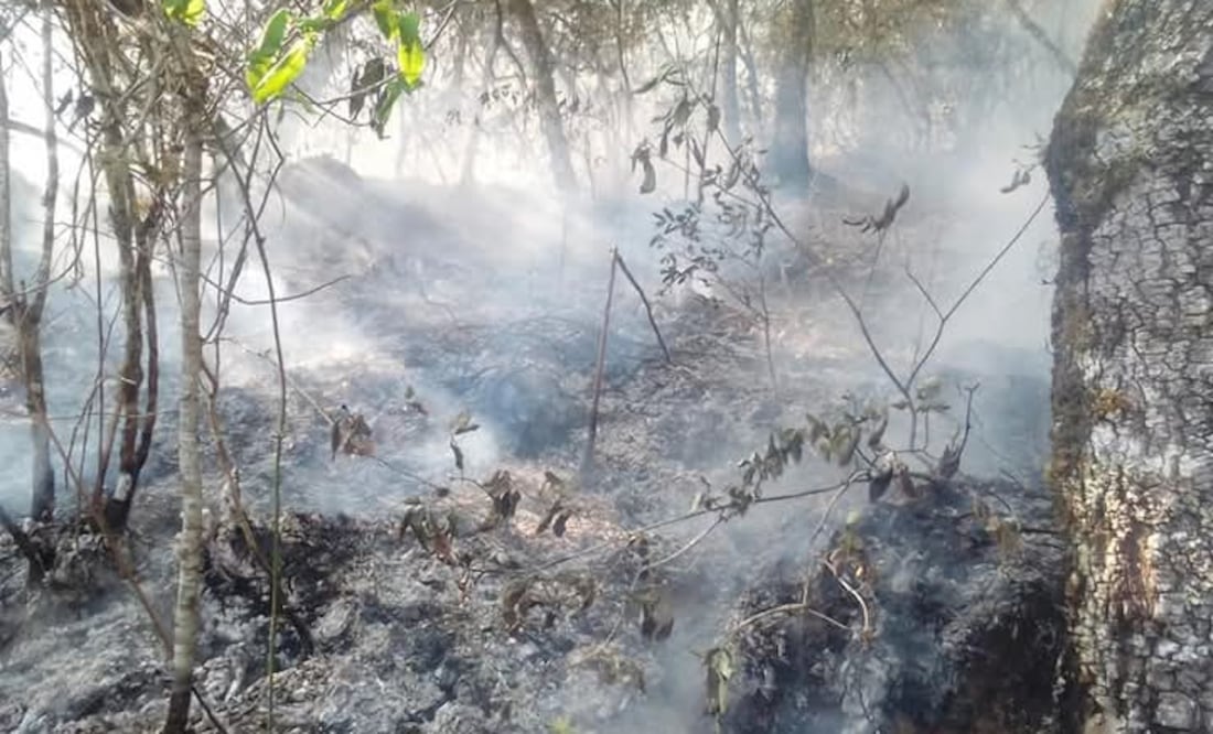 El municipio de Nicolás Flores, en los últimos años, ha registrado incendios forestales de grandes magnitudes que han afectado miles de hectáreas