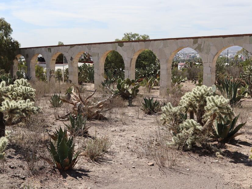 El Parque Ecológico de Cubitos, un tesoro natural en Pachuca | Foto: Cinthya Carbajal