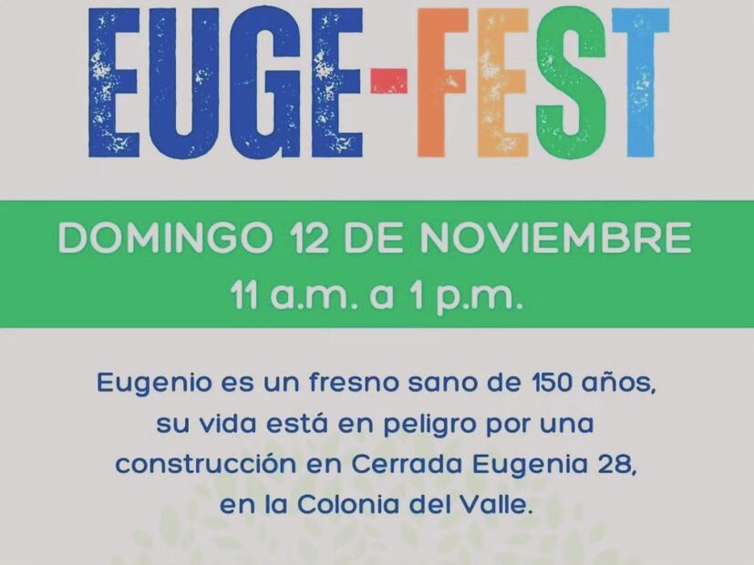 Vecinos se unen para rescatar a "Eugenio", un fresno de 150 años | Facebook