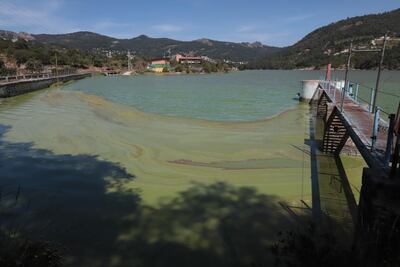 Agua color verde y azul: señalan contaminación en presa La Estanzuela 